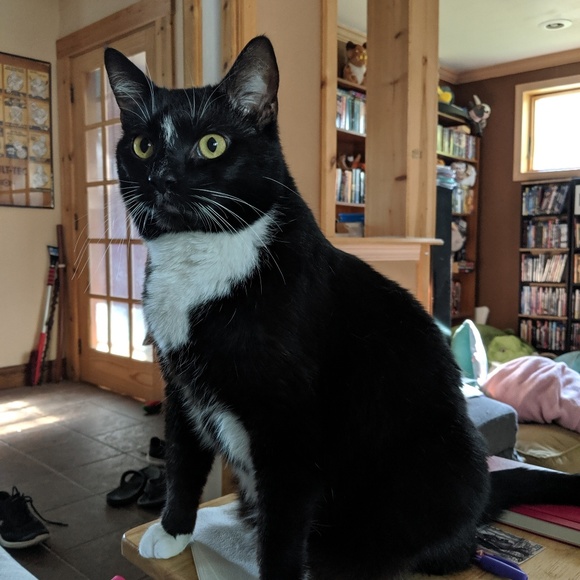 Meet your Posher, Christie - Picture 1 of 1